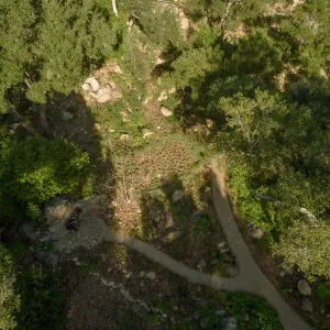 Wooded Dell, aerial view