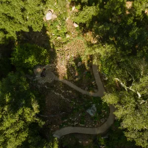 Wooded Dell, aerial view