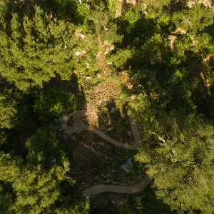 Wooded Dell, aerial view
