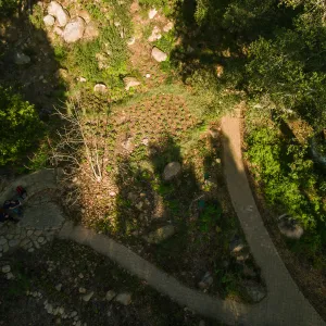Wooded Dell, aerial view