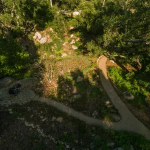 Wooded Dell, aerial view