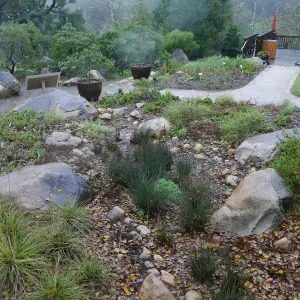 Water Wise Home Garden Vegetative Swale