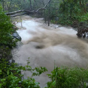 Mission Creek just below lower crossing during rainstorm