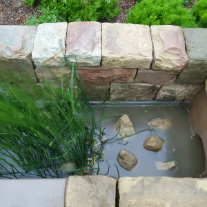 Bioswale at the Pritzlaff Conservation Center filtering runoff during a rainstorm