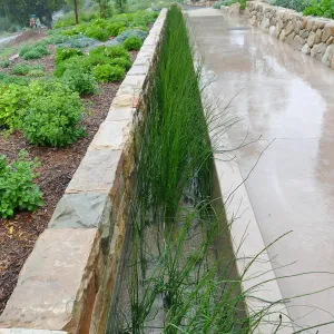 Bioswale at the Pritzlaff Conservation Center filtering runoff during a rainstorm