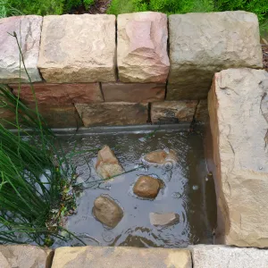 Bioswale at the Pritzlaff Conservation Center filtering runoff during a rainstorm