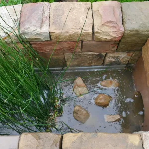Bioswale at the Pritzlaff Conservation Center filtering runoff during a rainstorm