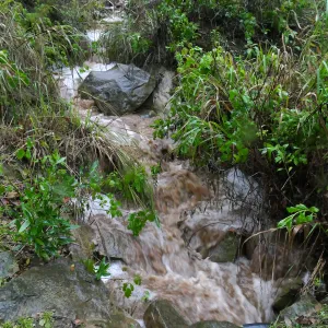 Stormwater flow in Canyon
