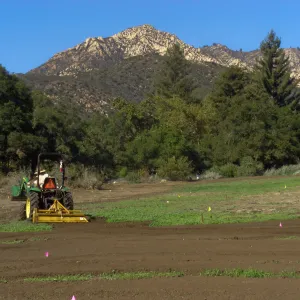 Riley Kriebel Tilling Meadow for Weed Abatement, see PR_00493