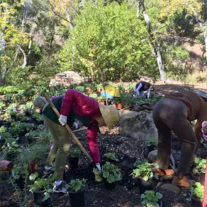 Volunteers helping with installation of the Wooded Dell