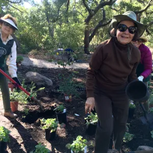 Volunteers helping with installation of the Wooded Dell