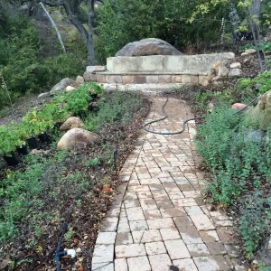 Installation of the Wooded Dell