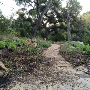 Installation of the Wooded Dell