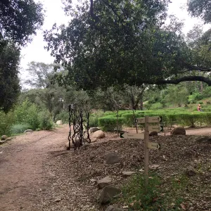 Arch at the Centennial Maze