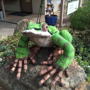 Dormant Dreams Yarn Blast, Fred - the Pacific Chorus Frog at Garden Shop