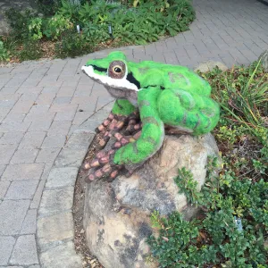 Dormant Dreams Yarn Blast, Fred - the Pacific Chorus Frog at Garden Shop