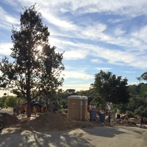 Planting of Island Oaks at the Pritzlaff Conservation Center