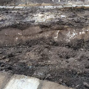 Subsurface boulder in new pathway to Water Wise Home Garden