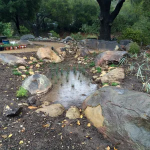 Water Wise Home Demonstration Garden during installation. Bioswale
