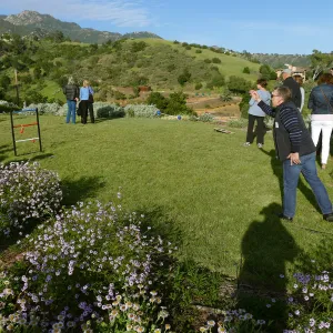 Members Picnic 2017, games
