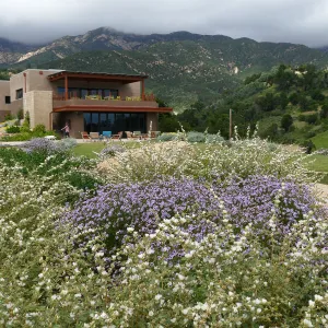 Pritzlaff Conservation Center and Island View Garden