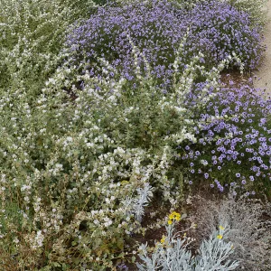 Pritzlaff Conservation Center and Island View Garden