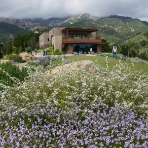 Pritzlaff Conservation Center and Island View Garden