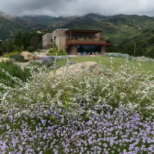 Pritzlaff Conservation Center and Island View Garden