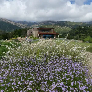 Pritzlaff Conservation Center and Island View Garden