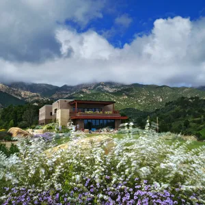 Pritzlaff Conservation Center and Island View Garden