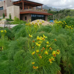 Pritzlaff Conservation Center and Island View Garden