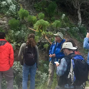 California Botanist Society trip to Santa Cruz Island with Steve Junak