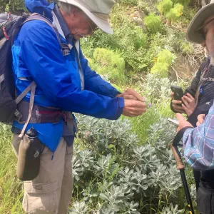 California Botanist Society trip to Santa Cruz Island with Steve Junak