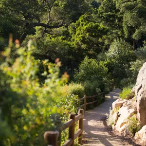 Campbell Trail