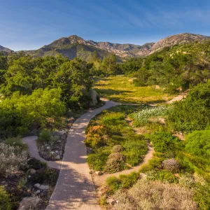 Aerial view of Desert Section, Groundcover Display and Meadow