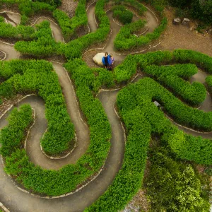 Aerial view of Centennial Maze