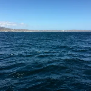 Santa Rosa Island Trip, Santa Rosa Island from boat