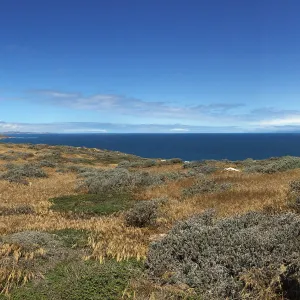 Santa Rosa Island Trip, Looking out towards San Miguel Island and mainland, Nancy Deacon-Davis, hiking to Carrington Point