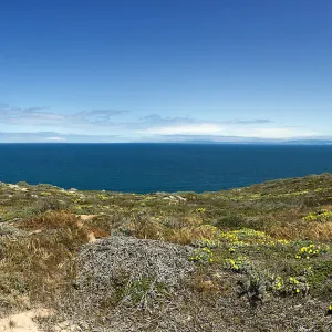 Santa Rosa Island Trip, Looking out towards San Miguel Island, hiking to Carrington Point