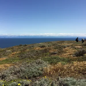 Santa Rosa Island Trip, Looking out towards mainland, hiking to Carrington Point