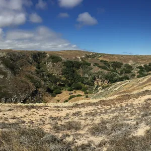 Santa Rosa Island Trip, hiking on Smith Highway to Lobo Canyon