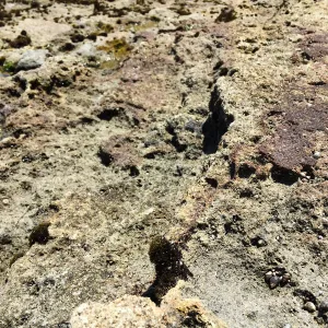 Santa Rosa Island Trip, Rock on Lobo Canyon beach