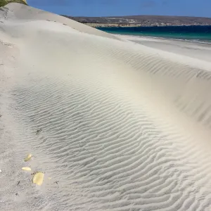 Santa Rosa Island Trip, Dune on beach