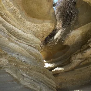 Santa Rosa Island Trip, Slot canyon along beach