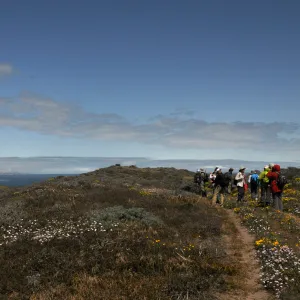 Santa Rosa Island Trip, Group walking towards Carrington Point
