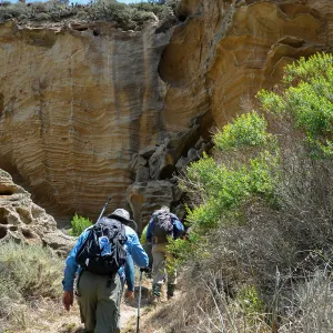 Santa Rosa Island Trip, group hiking in Lobo Canyon