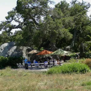 Free Seniors Day with music by Long Gone Daddies