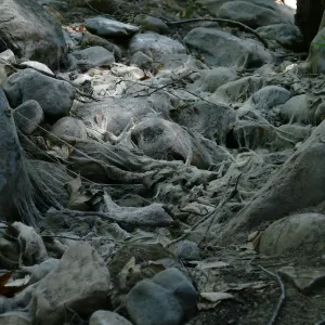 Ghost creek, lower creek crossing