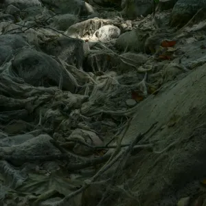 Ghost creek, lower creek crossing