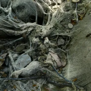 Ghost creek, lower creek crossing